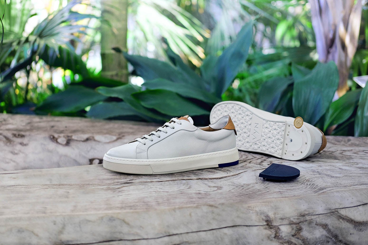 Sustainable Sneakers